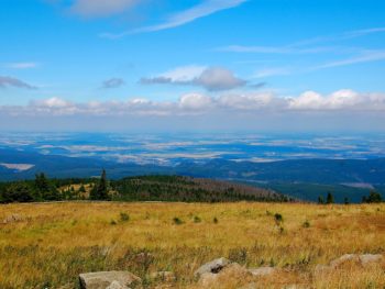 Permalink auf:Der Harz im Sommer